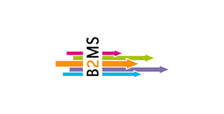 B2MS